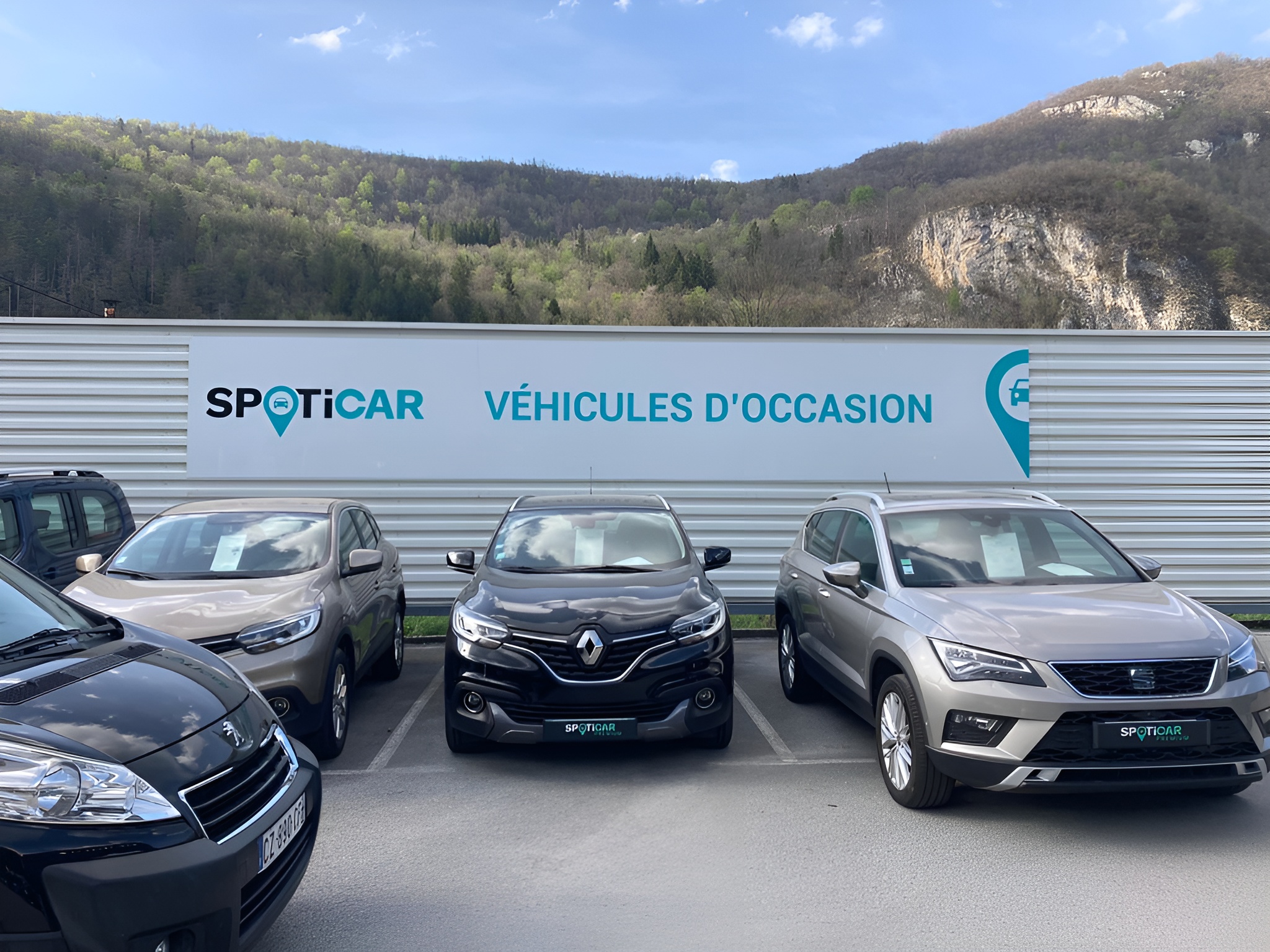 SignalDoubs - Impression professionnelle